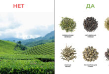 Photo of Как привлечь трафик с помощью SEO