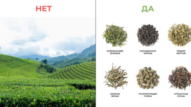 Photo of Как привлечь трафик с помощью SEO