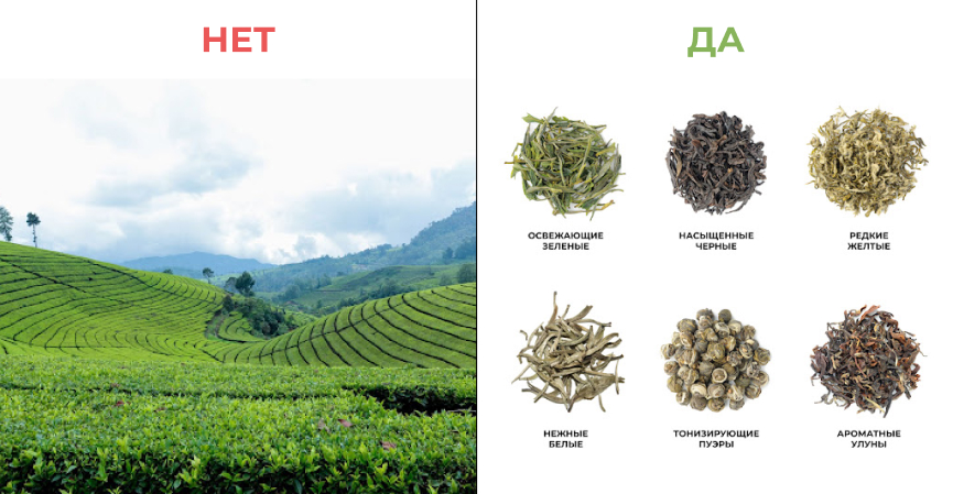 Как привлечь трафик с помощью SEO