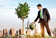 Photo of Как использовать SEO для бизнеса