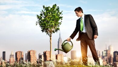 Photo of Как использовать SEO для бизнеса